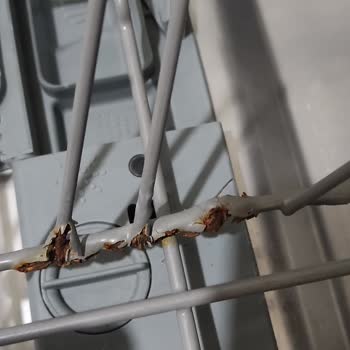 Paslanan Bulaşık Makinesi Sepetleri Ve Ücretsiz Değişim Talebi