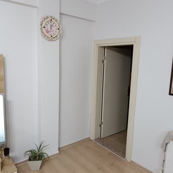 Polisan Elegans Boya Renk Uyuşmazlığı Ve İlgisizlik