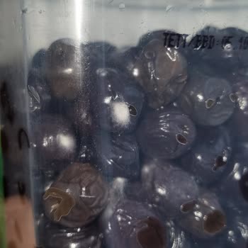 Küflü Zeytin Sorunu: Tukaş Marka Ürünlerde Beklenmedik Durum