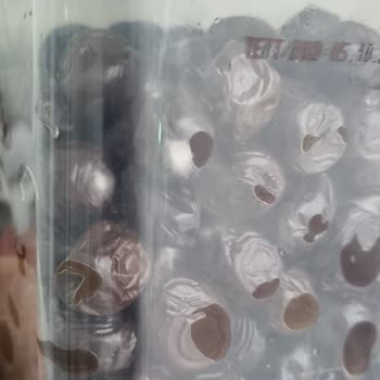 Küflü Zeytin Sorunu: Tukaş Marka Ürünlerde Beklenmedik Durum