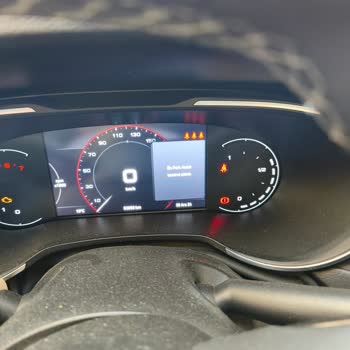 Egea Cross Park Asist Sorunu