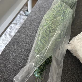 Kırık Ürün Ve Sorumsuzluk