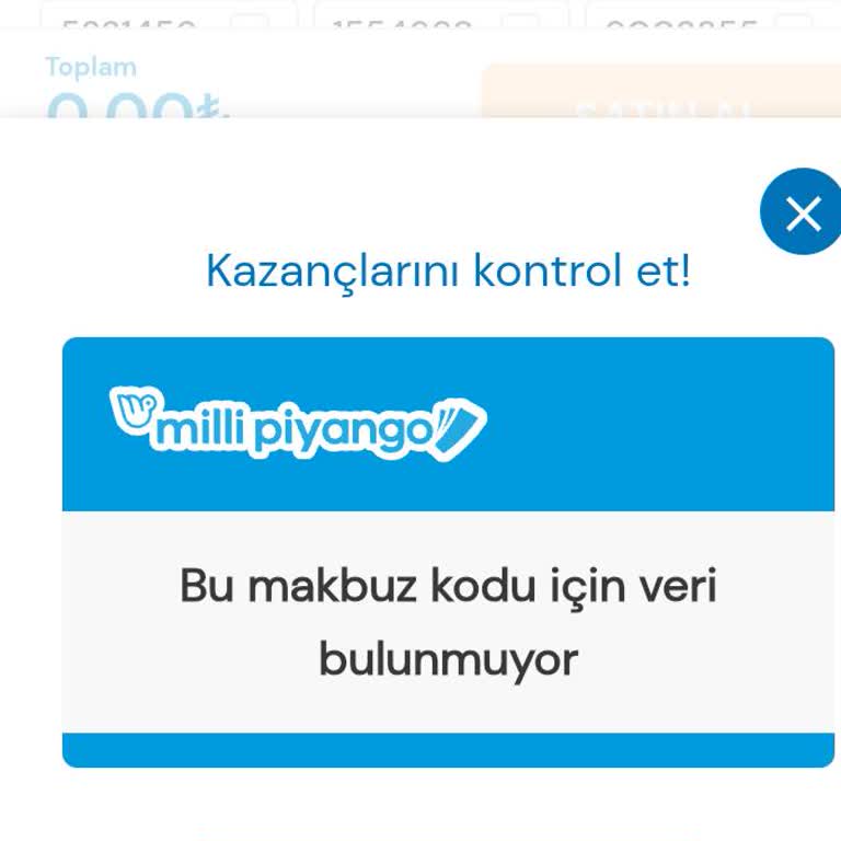 Milli Piyango Sorgulama Sorunu