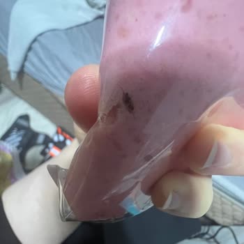 Namet Hindi Salamda Karınca Ölüsü Ve Küf Şoku