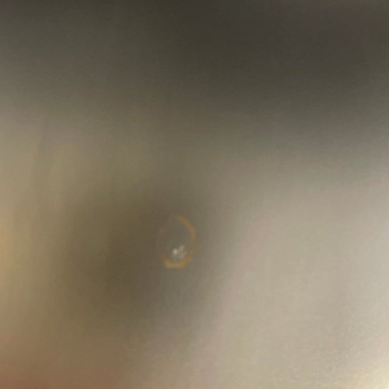 Paslanan Bulaşık Makinesi Ve Kötü Servis Deneyimi