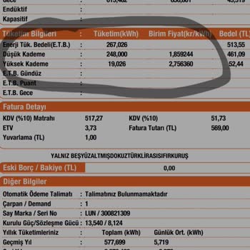 Yüksek Elektrik Fiyatları Ve Abonelik Sorunu