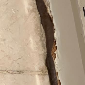 Titanic Deluxe Lara Kötü Otel Deneyimi Ve Engelli Çocuğa Yapılan Haksızlık