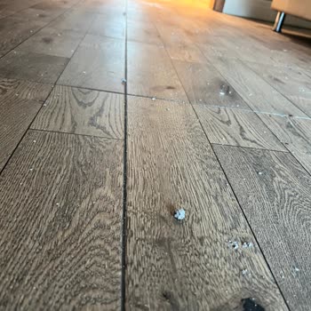 Titanic Deluxe Lara Kötü Otel Deneyimi Ve Engelli Çocuğa Yapılan Haksızlık