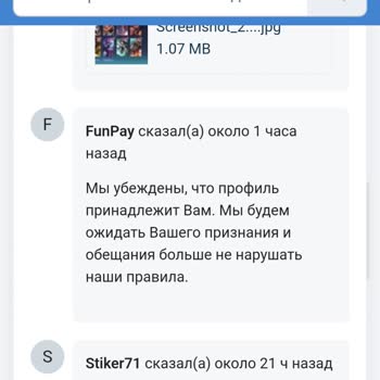FunPay Ошибочный Бан, Поддержка Не Заинтересована В Адекватном Решении.