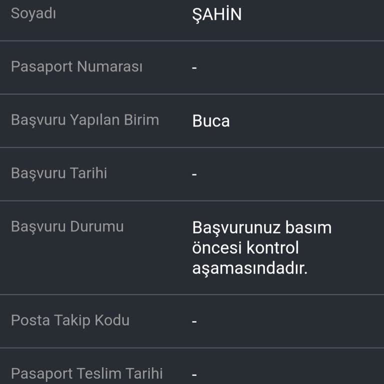 Acil Pasaport Talebi Ve Geri Dönüş Eksikliği
