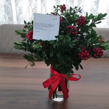 Yanlış Ve Eksik Gelen Kokina Çiçekleri Hayal Kırıklığı Yarattı