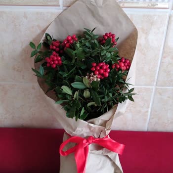 Yanlış Ve Eksik Gelen Kokina Çiçekleri Hayal Kırıklığı Yarattı