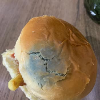 Küflü Hamburger Ekmeği İle Sağlık Tehlikesi