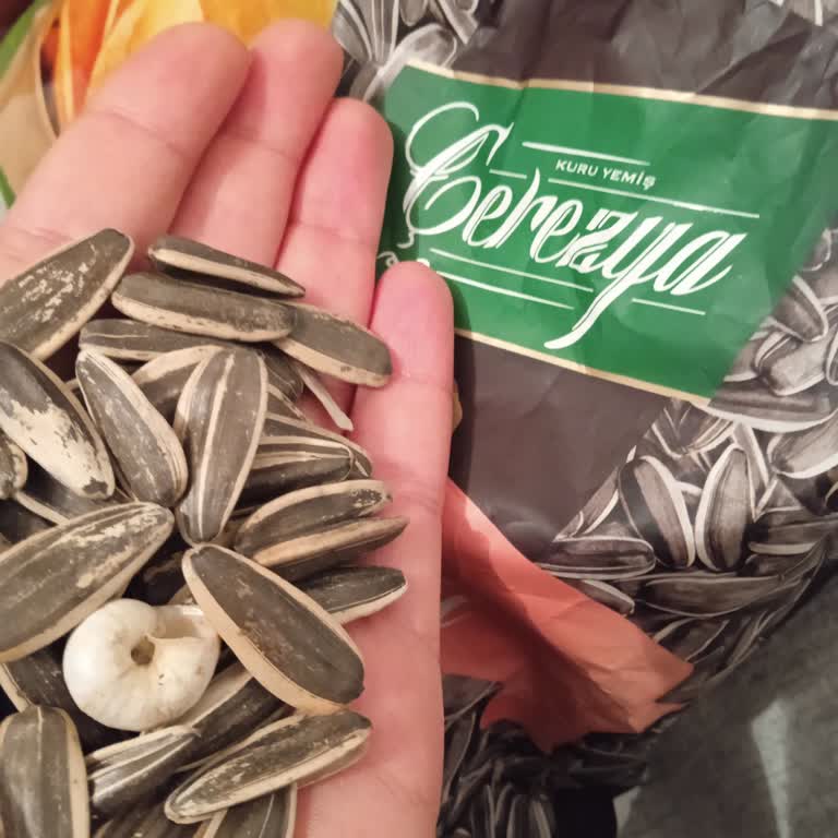 Çekirdek Paketinden Çıkan Sürpriz Misafir: Salyangoz!