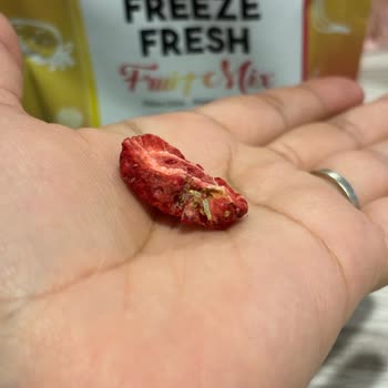 Pol's Gurme Kurtlu Kuru Meyve Şikayeti