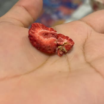 Pol's Gurme Kurtlu Kuru Meyve Şikayeti