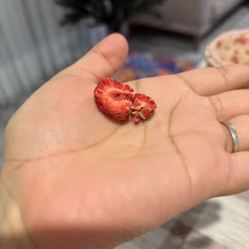 Pol's Gurme Kurtlu Kuru Meyve Şikayeti