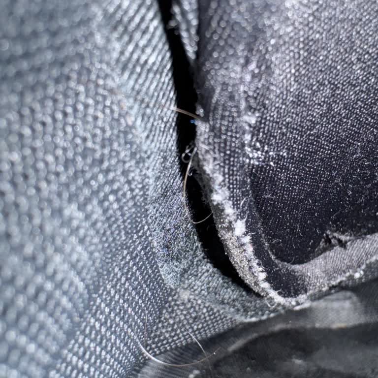 In Street Mağazasının Hayal Kırıklığı: Adidas Ayakkabı Sorunu