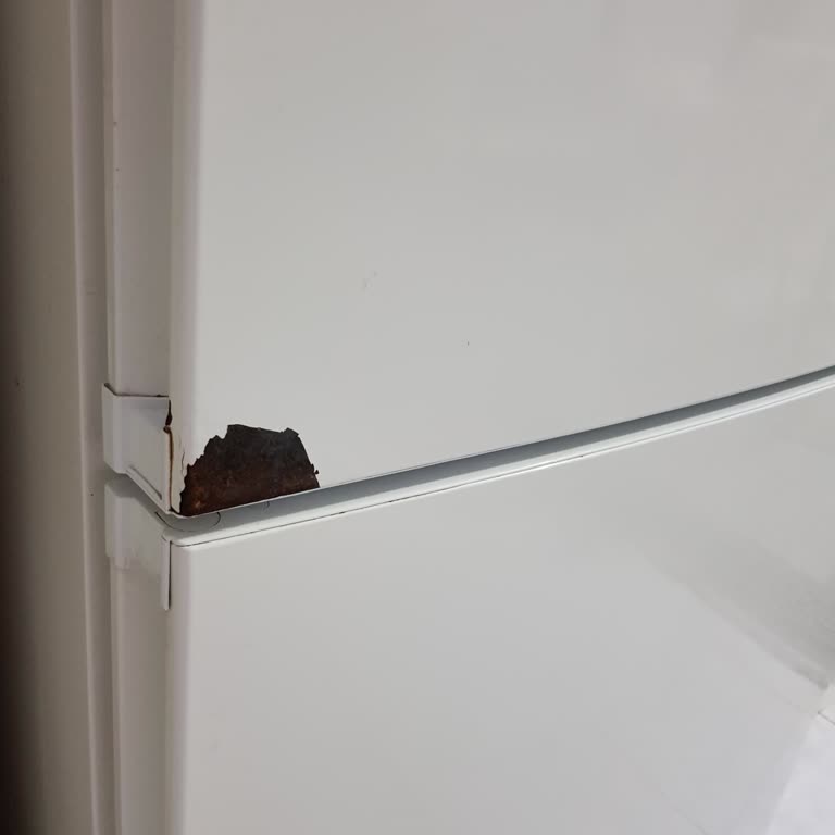 Siemens Buzdolabında Paslanma Ve Garanti Sorunu