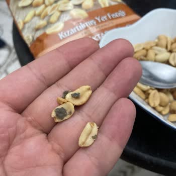 Yer Fıstığında Çamur Şoku Güvenimizi Sarsıyor