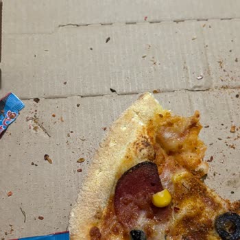 Pizza Siparişimden Böcek Çıktı