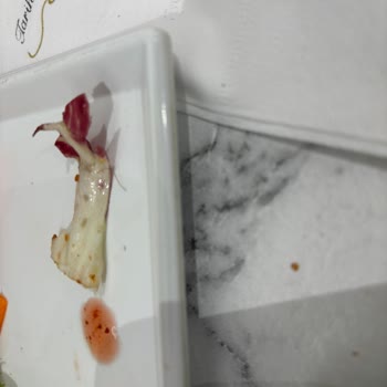 Tarihi Kuzguncuk Fırını Maltepe Şubesinde Saygısız Hizmet Ve Hijyen Sorunu