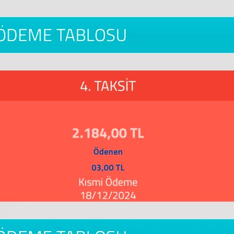 Fuzul Ev'de Çıkış Sürecinde Yaşanan Sorunlar Ve İletişim Eksikliği