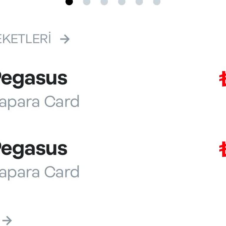 Pegasus Çifte Check-in Ücreti Ve Koltuk Seçimi Sorunu