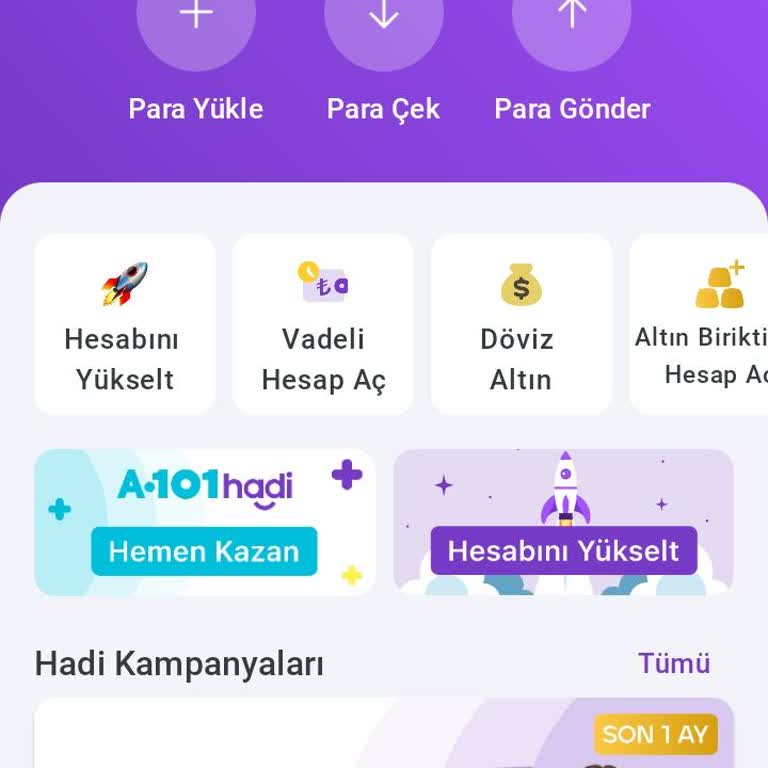 Hızlı Para Transferi Sorunu