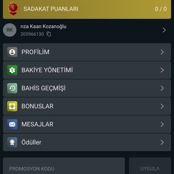 Bonusla Kazandığım Paraya Erişemiyorum!