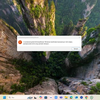 Garanti Süresinde Biten Huawei Çilesi