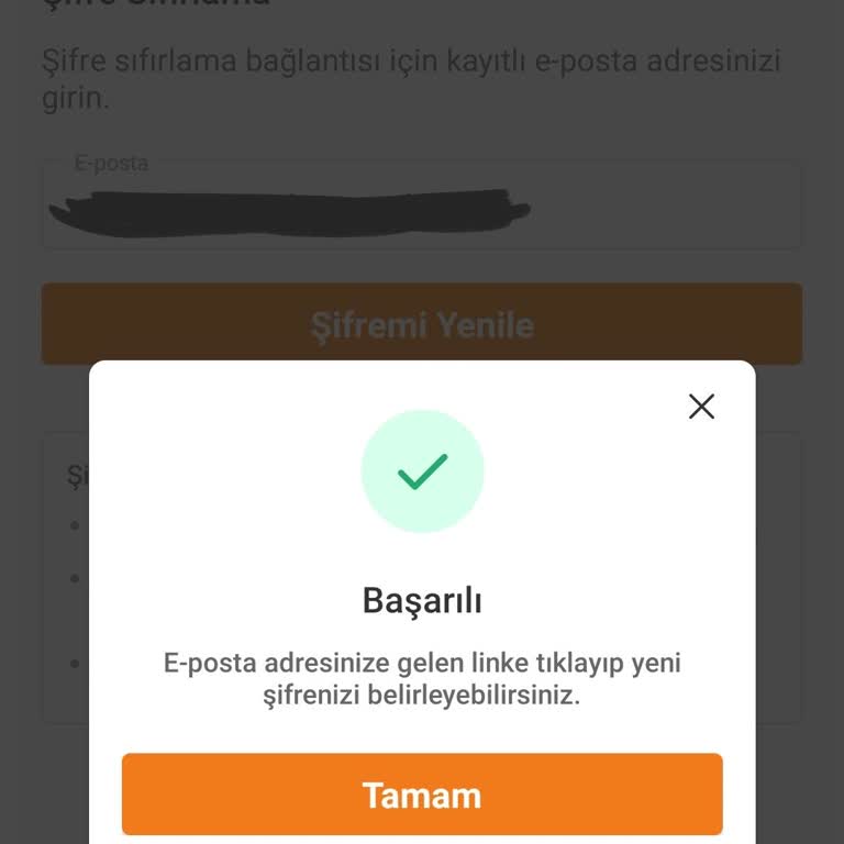 Trendyol Hesap Giriş Sorunu: Şifre Sıfırlama Linki Gelmiyor