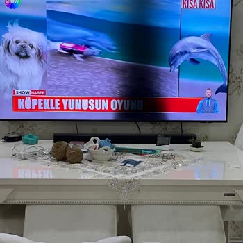 Samsung TV Panel Arızaları Ve Müşteri Hizmetleri Sorunları