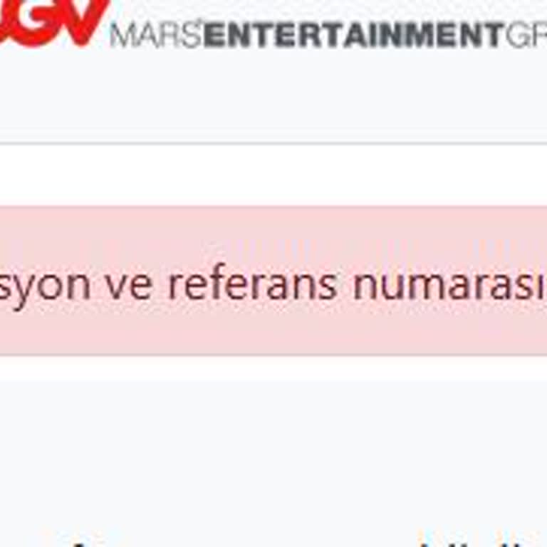 E-bilet Erişimi Ve Kopya Bilet Sorunu