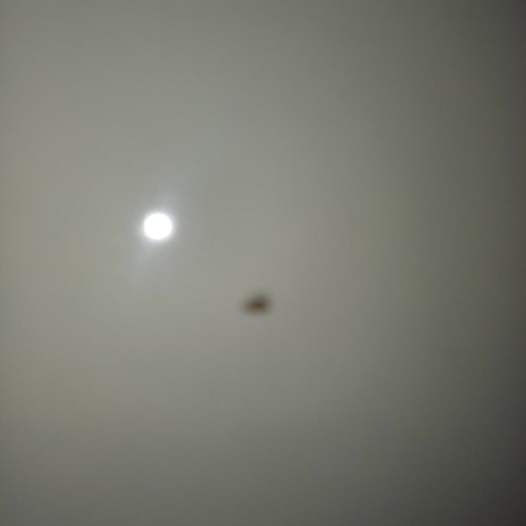 Uzun Teslimat Süresi Ve Sorunlu Ürünler