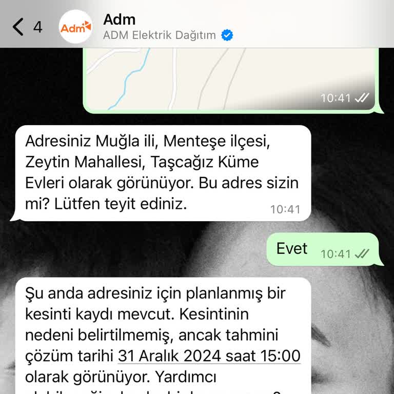 Yılbaşı Günü Elektrik Kesintisi: Menteşe'de Süregelen Sorun