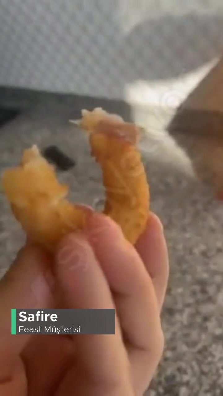 Feast Soğan Halkası Et Çıktı İçinden! videonun kapak resmi