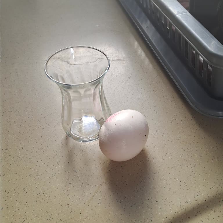 Yumurta Boyutunda Aldatıcı Etiketleme