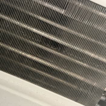 My Bosch Dryer Has Defects After 1.5 Months, Replacement Request Ignored