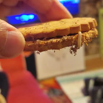 Çikolatalı Bisküvide Canlı Kurt Şoku!