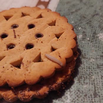 Çikolatalı Bisküvide Canlı Kurt Şoku!