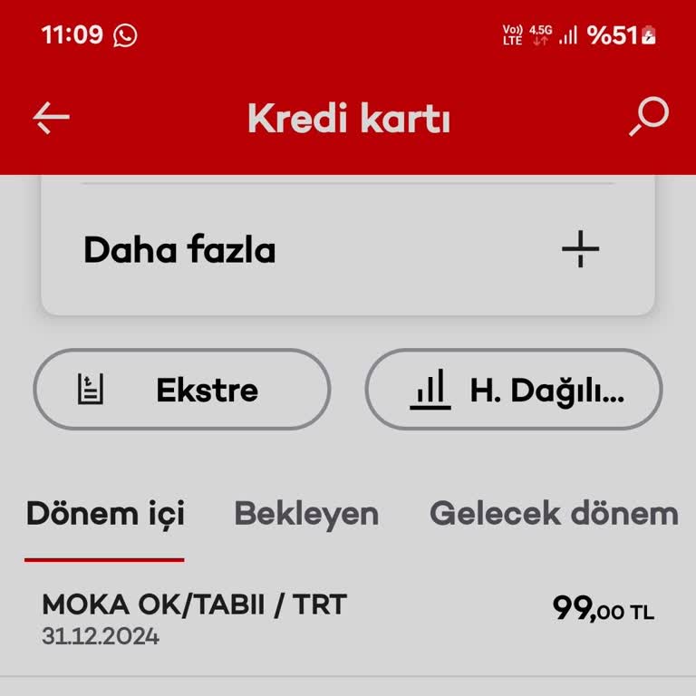Premium Üyelikte İçerik Erişimi Sorunu Ve İade Talebi