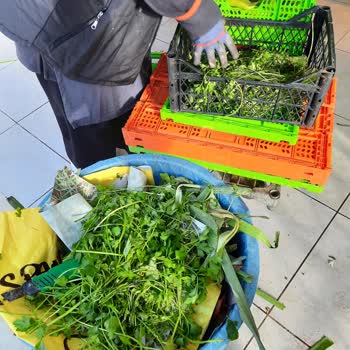 Hakmar Market'te Sağlık Riski Taşıyan Davranış