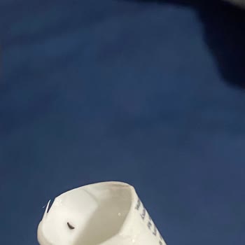 Cyrene Göz Kreminin İçinden Çıkan Siyah Madde Şoku