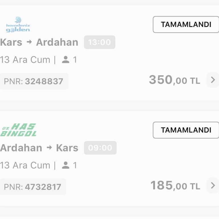 Fatura Düzenleme Sorunu: Enuygun'un Yavaşlığı