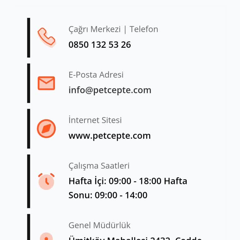 Sokak Kedileri İçin Mama Siparişi Kâbusa Döndü