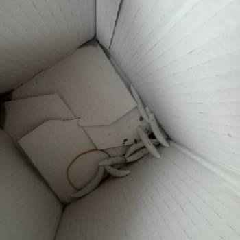 Özensiz Çiçek Siparişi Ve İlgisiz Müşteri Hizmetleri