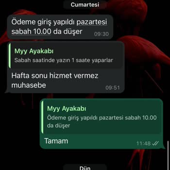 İade Sürecinde Yaşanan Gecikmeler Ve İletişim Sorunları