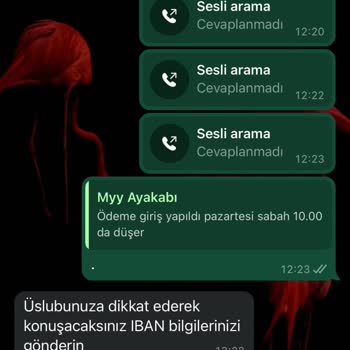 İade Sürecinde Yaşanan Gecikmeler Ve İletişim Sorunları