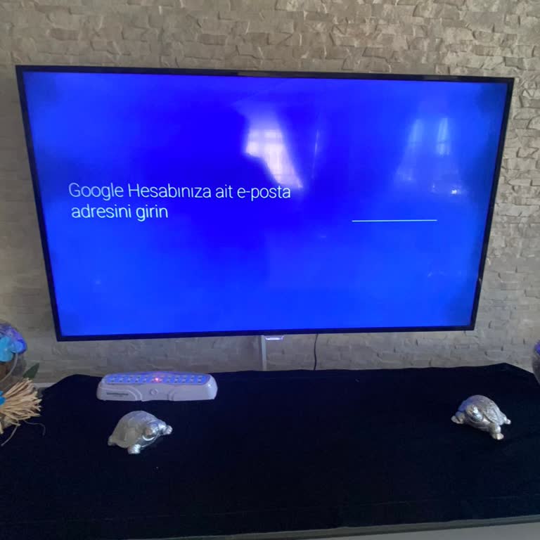 Philips Google Play Oturumu Açma Sorunu